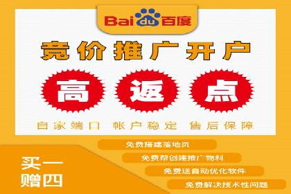 某电商平台的SEM推广策略及效果分析